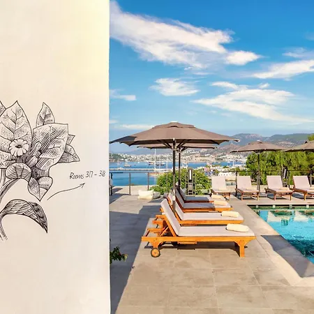 Senses - Adults Only Hotel