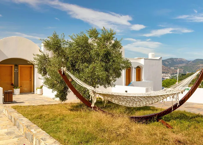 Senses - Adults Only