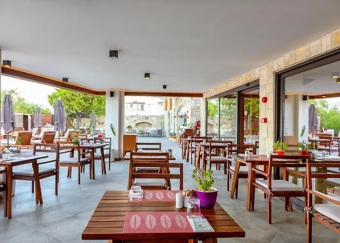 Senses - Adults Only