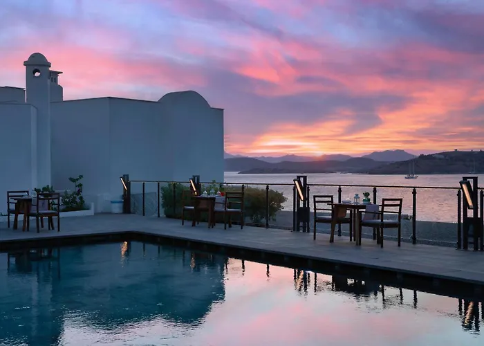 Senses - Adults Only