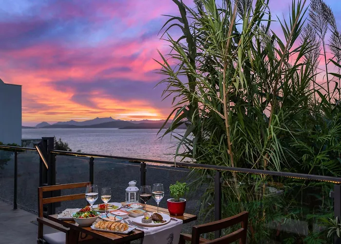 Senses - Adults Only 4*