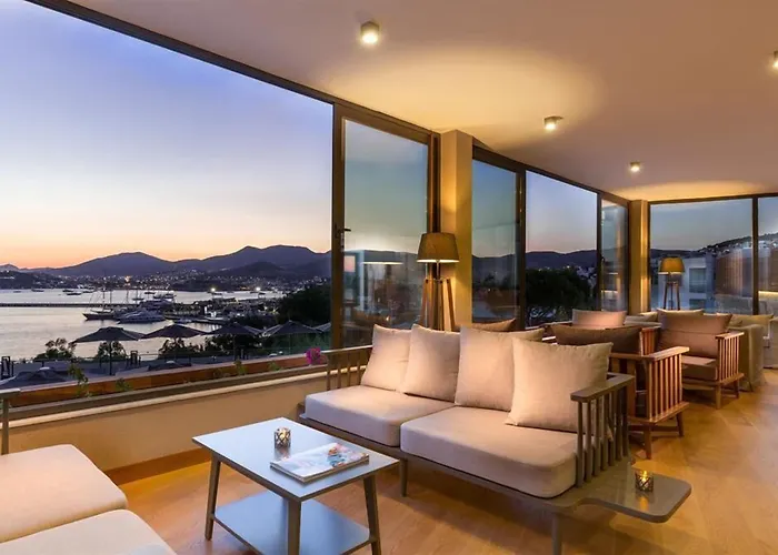 Senses - Adults Only