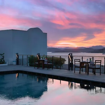 Senses - Adults Only