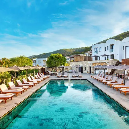 Senses - Adults Only 4*