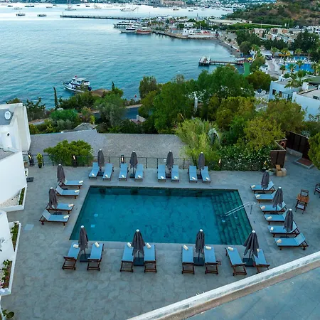 Senses - Adults Only 4*