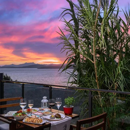 Senses - Adults Only 4*