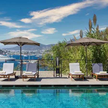 Senses - Adults Only