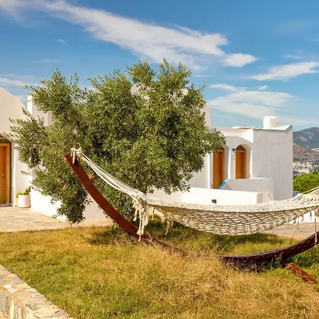 Senses - Adults Only