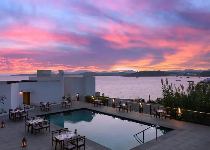 Senses - Adults Only