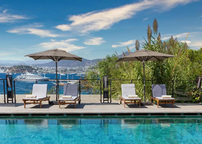 Senses - Adults Only