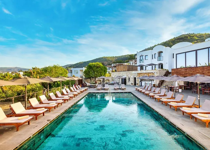 Senses - Adults Only 4*