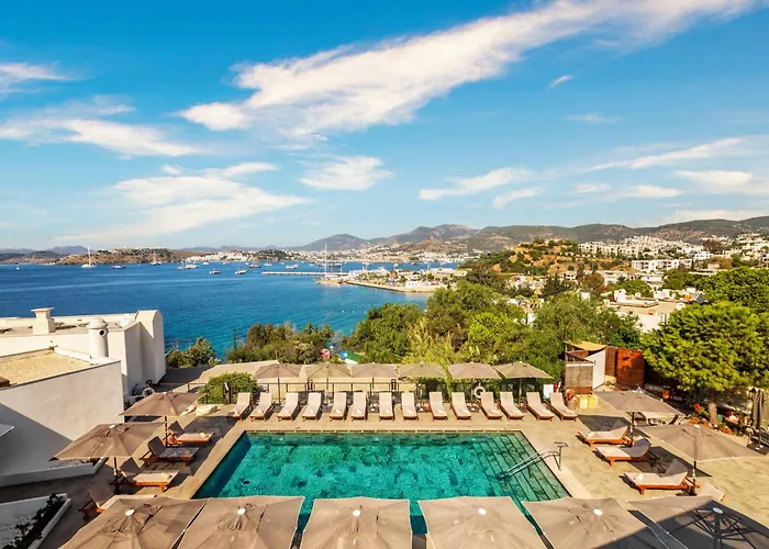 Senses - Adults Only